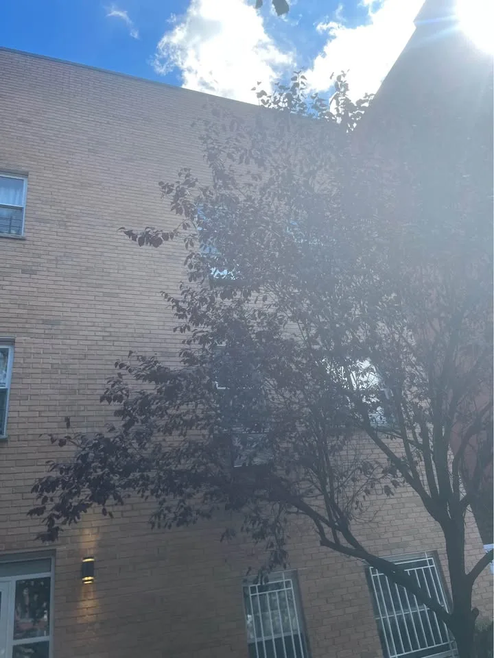 2 habitaciones 1 baño - Departamento image indicator(2)