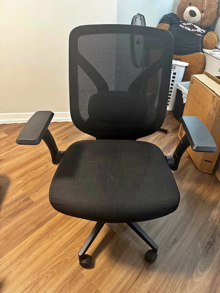 Costco True Innovations Ergonomic Mesh Office Chair