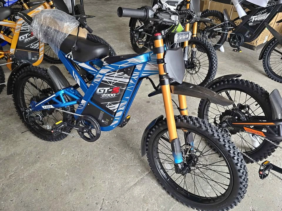 Brand New 2026 GTS Electric Off-Road Bikes