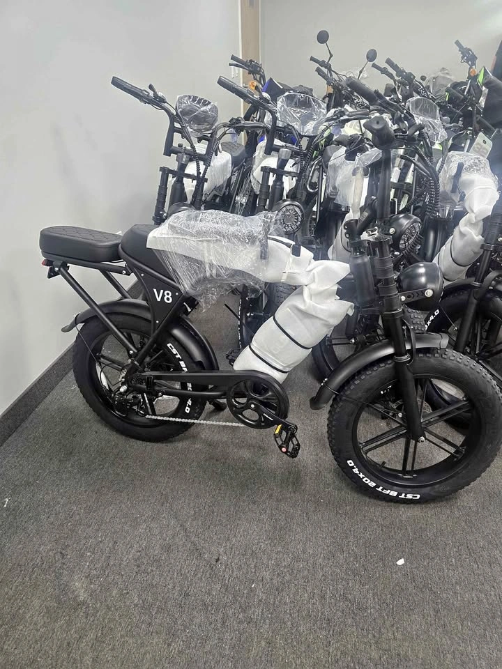 Brand New V8 Electric Fat Tire Bike