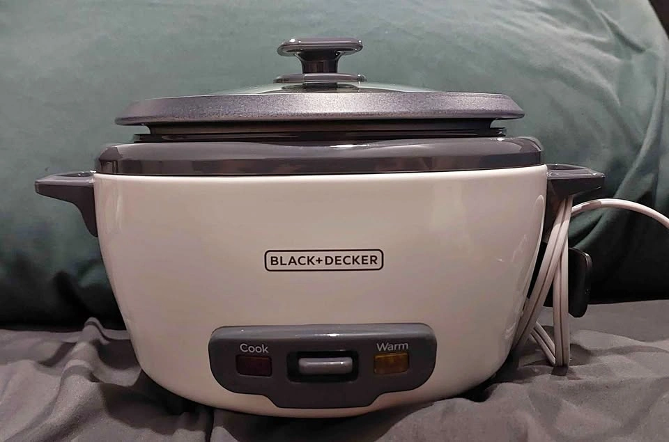 Rice cooker and steamer