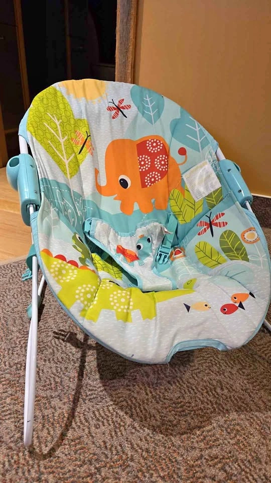 Baby bouncing chair
