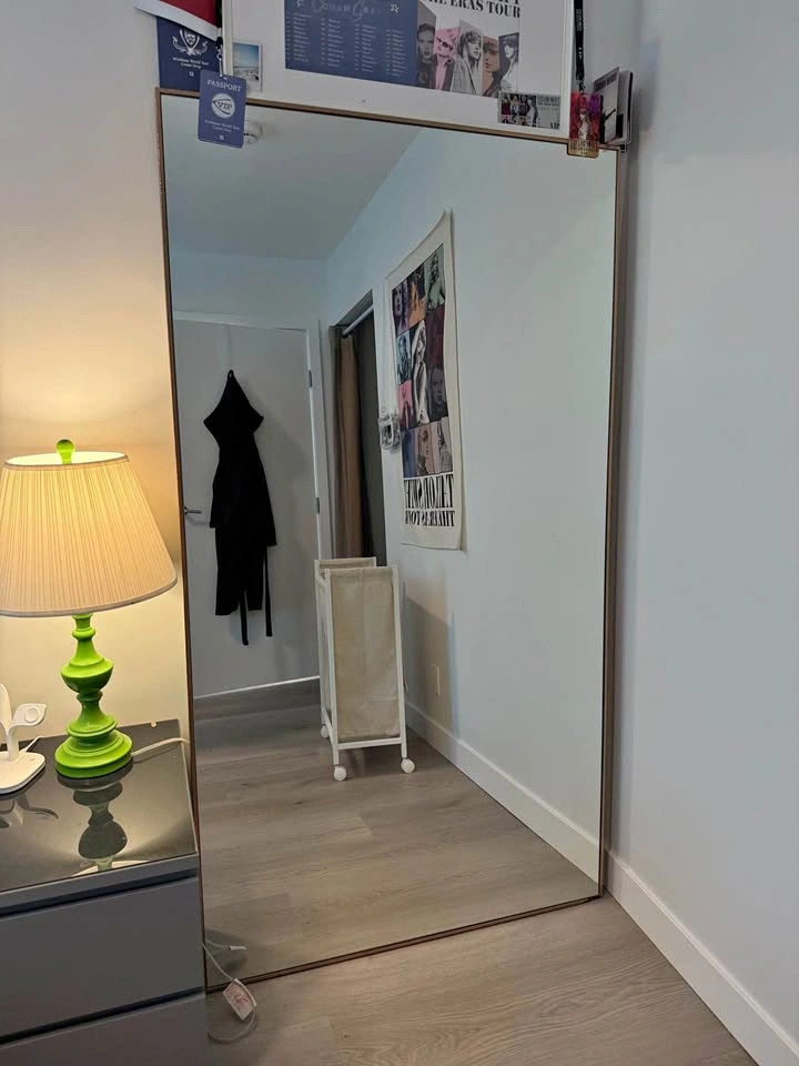 HomeSense full size mirror