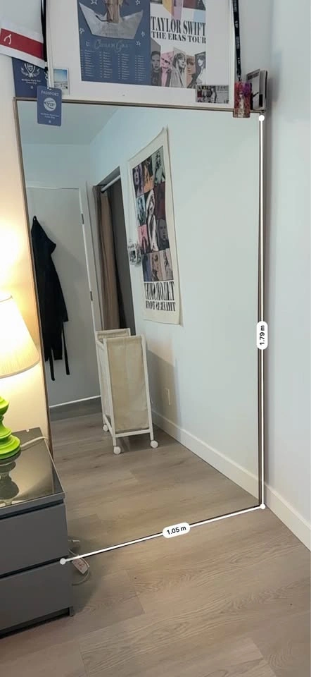 HomeSense full size mirror - photo 2