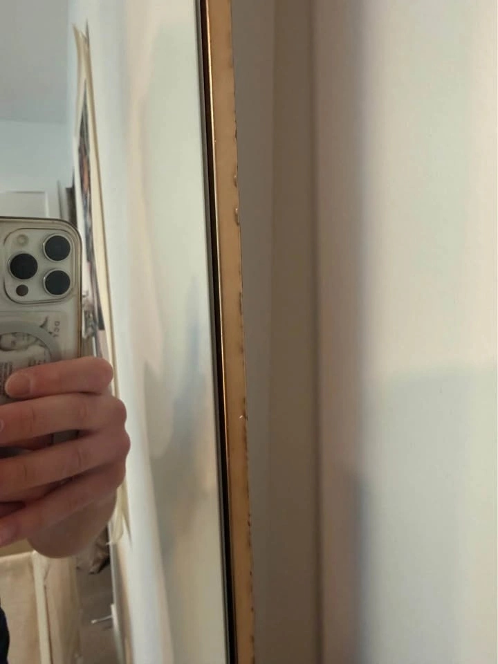 HomeSense full size mirror - photo 4