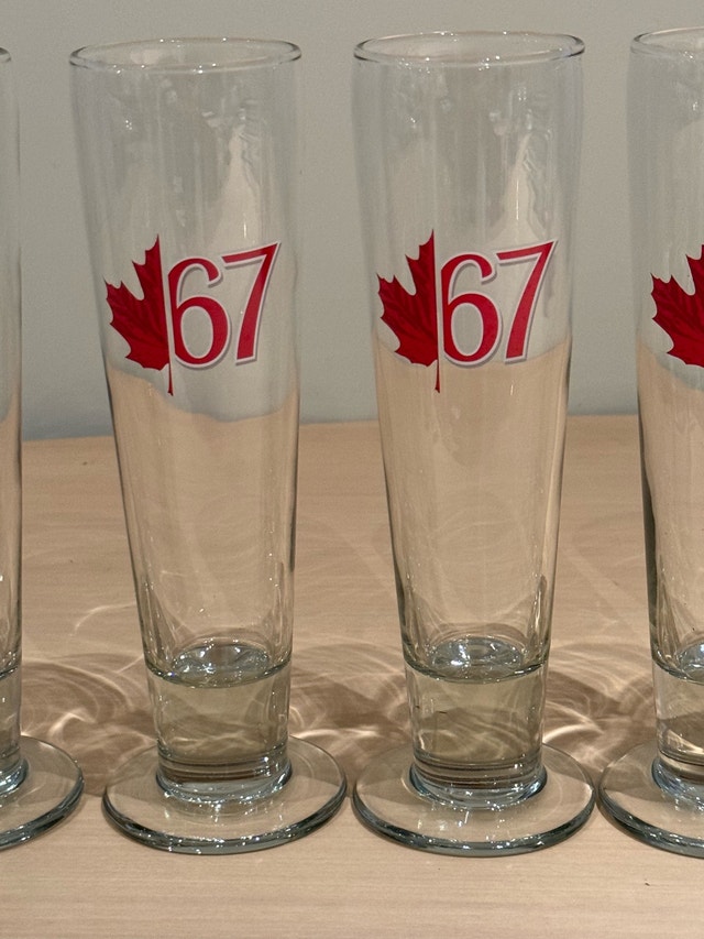 Set of 6 Molson Canadian 67 Pilsner Glasses - photo 3