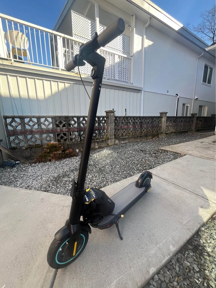 Brand New 500W 10-inch Electric Scooter