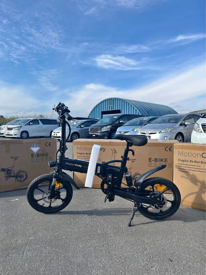 E-bike Folding Electric Bike 16-inch 32km/h 350W Motor