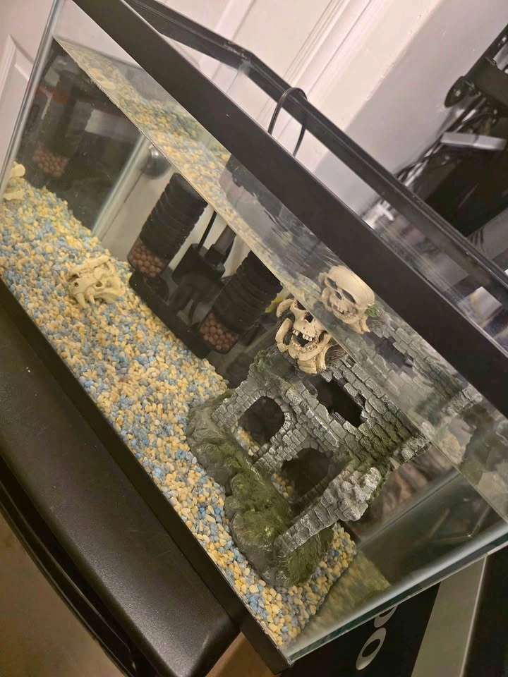 10 Gallon Aquarium with Filter and Decor