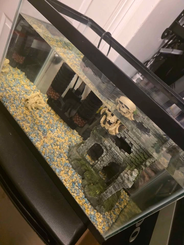 10 Gallon Aquarium with Filter and Decor - photo 2