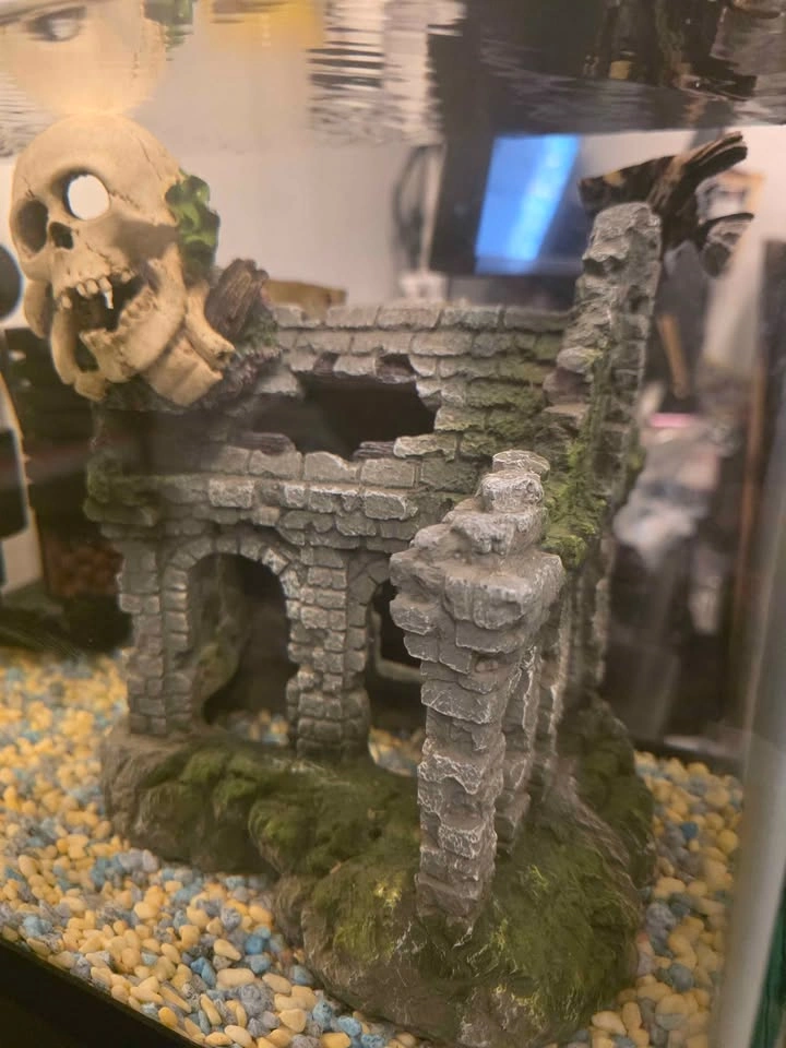 10 Gallon Aquarium with Filter and Decor - photo 3