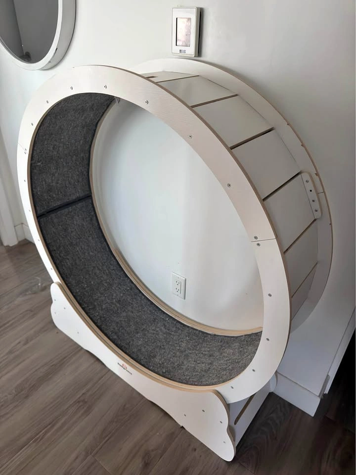 Homegroove Cat Wheel Treadmill