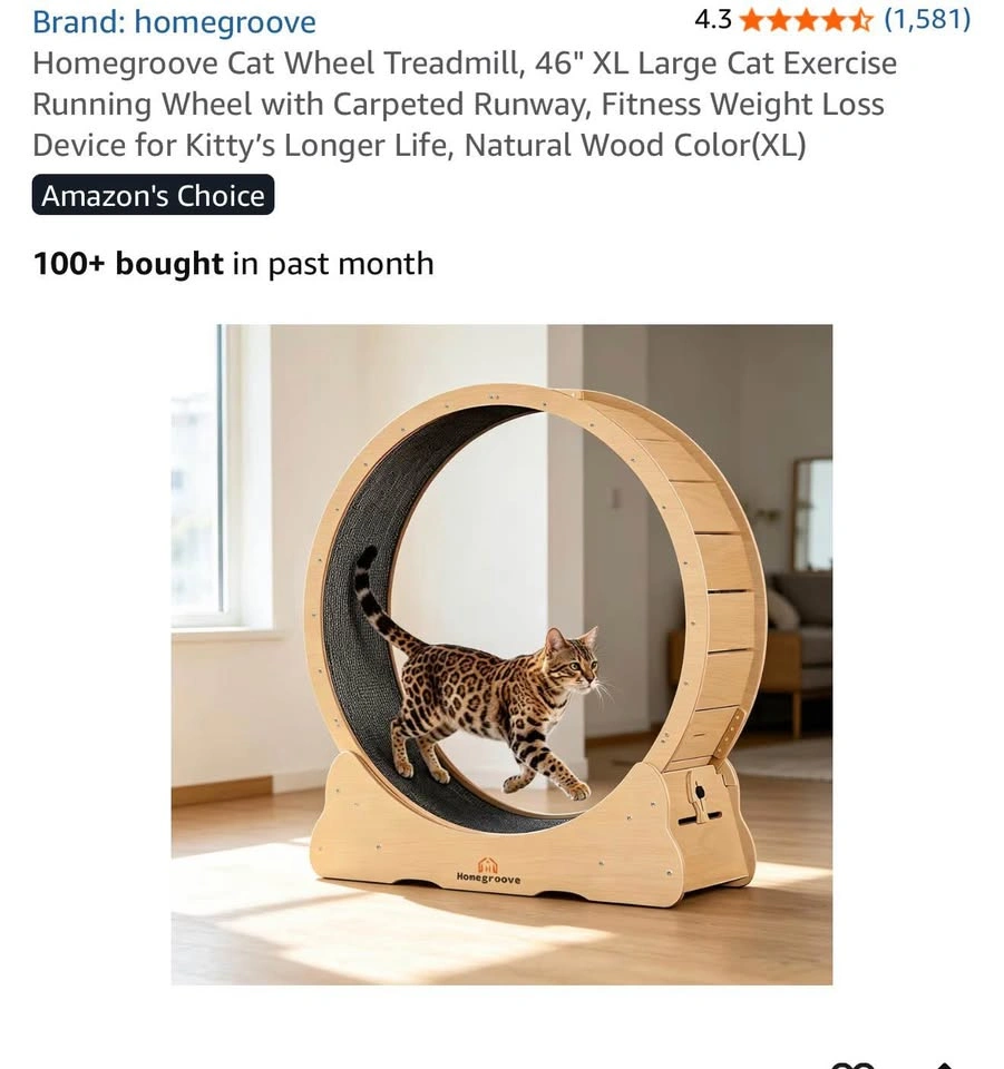 Homegroove Cat Wheel Treadmill - photo 2