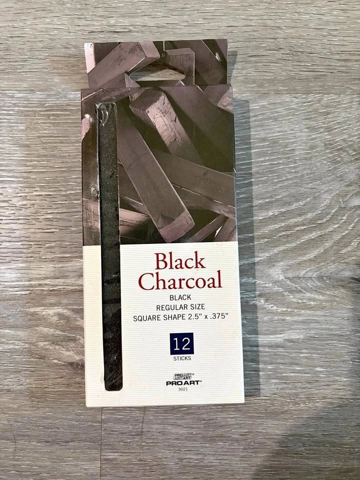 Never Open/ Pro Art Black Charcoal Sticks