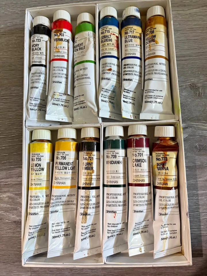 Oil Colors 12 Color Set