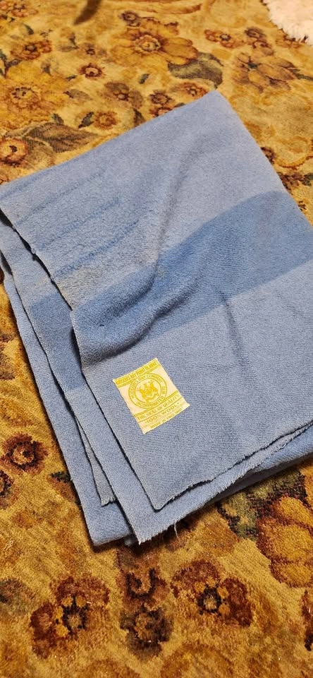 Blue Hudson's Bay Blanket