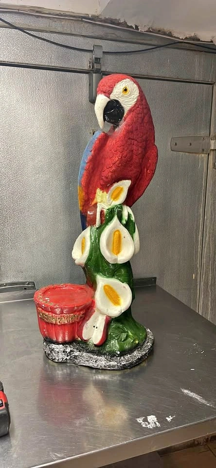 Tropical parrot decor