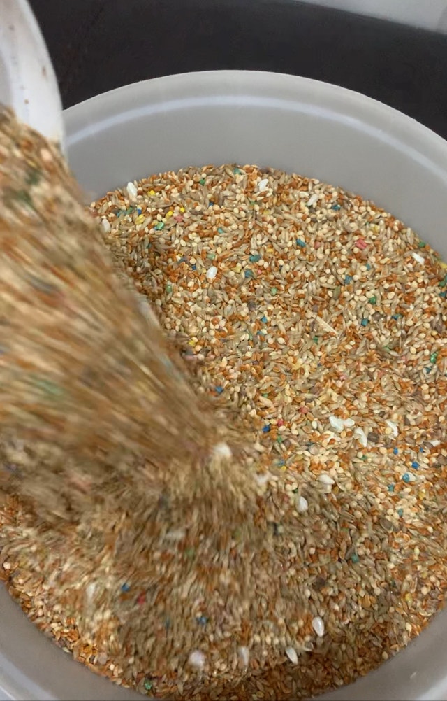 Birds Seed with vitamins mix 3 LBs - photo 2