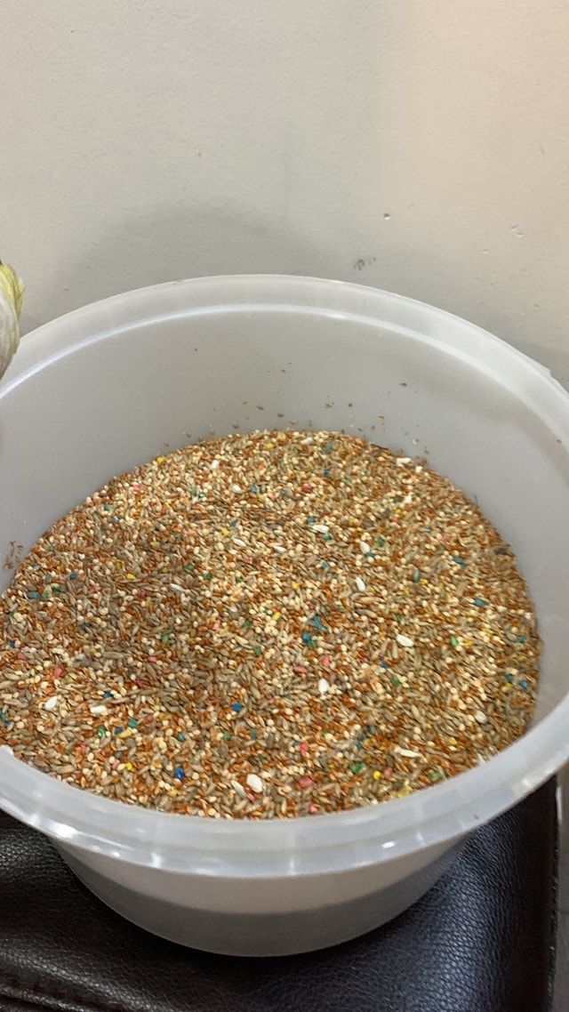Birds Seed with vitamins mix 3 LBs - photo 4