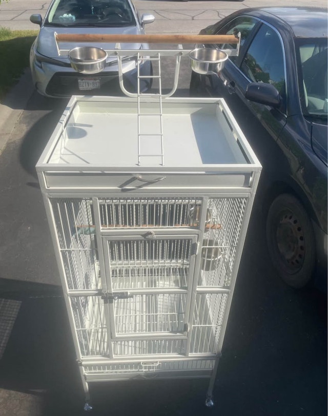 Bird Cage with Play Top
