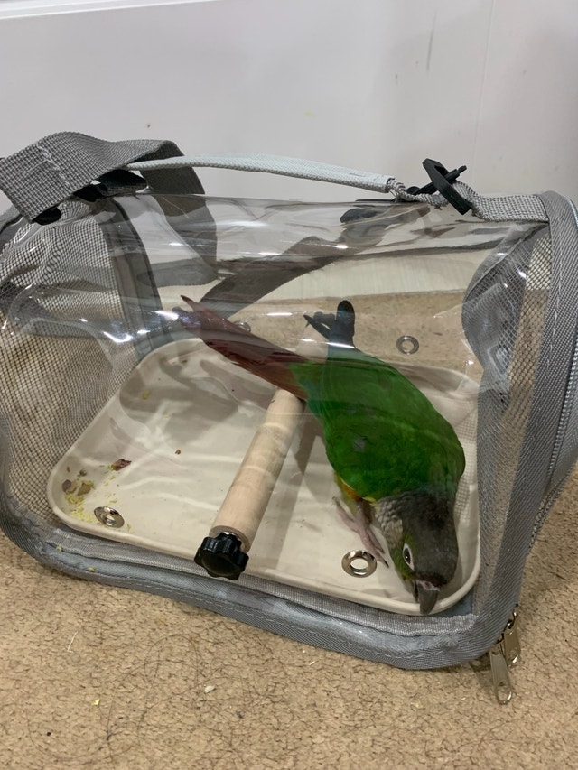 Portable Bird Travel Carrier - photo 2