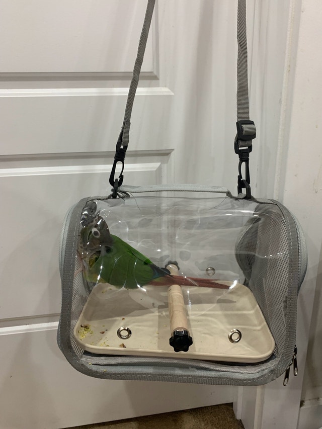 Portable Bird Travel Carrier - photo 3