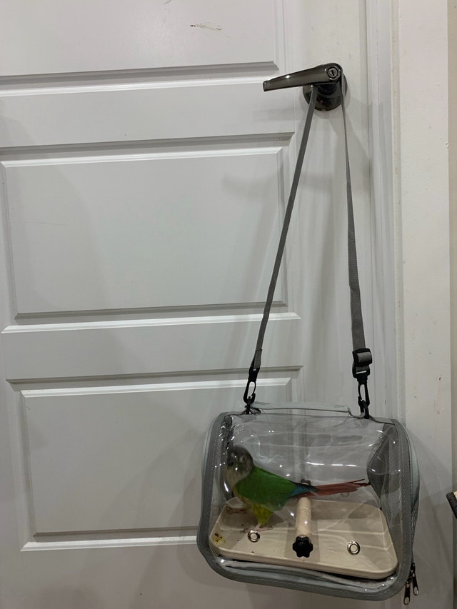 Portable Bird Travel Carrier - photo 4