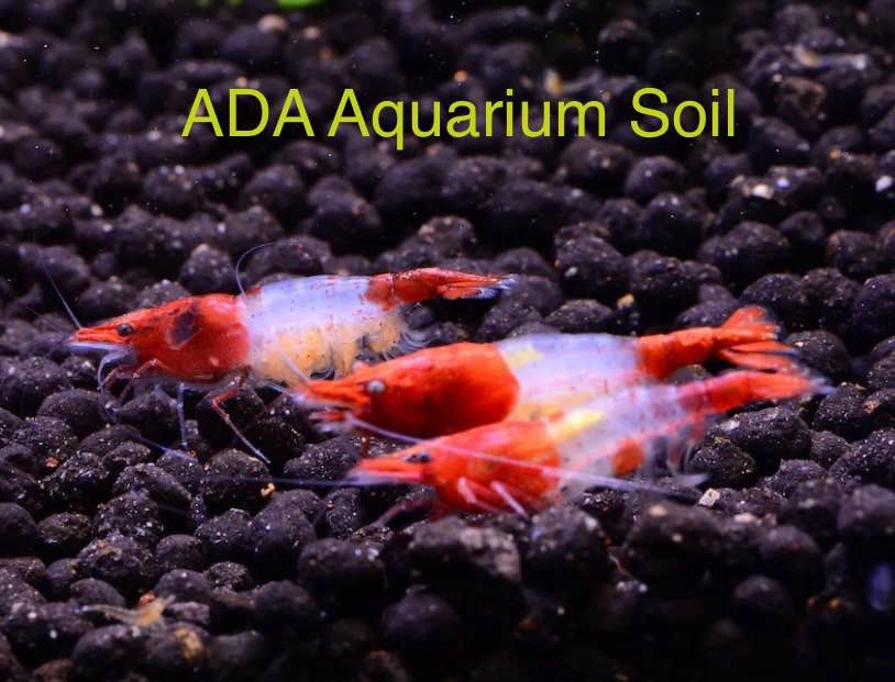 ADA AQUASOIL FOR SHRIMP AQUARIUMS - photo 2