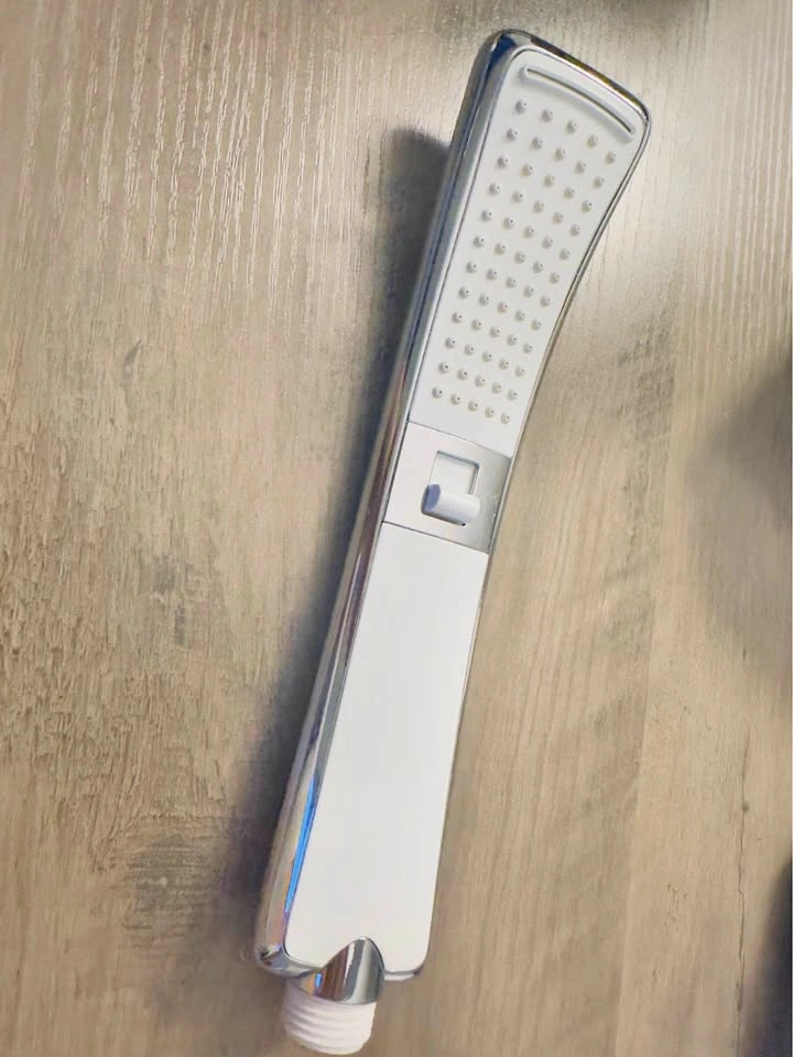 Handheld Shower Head Chrome and White