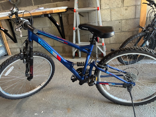 Stratus Richter DS Mountain Bike, 17-in Frame, 26-in, Black