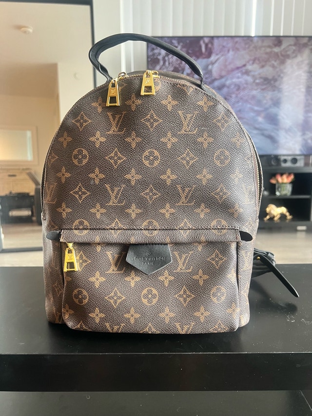 Louis Vuitton Monogram Backpack