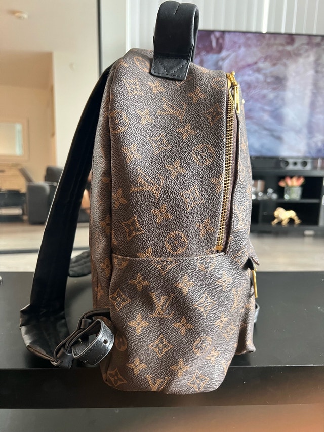 Louis Vuitton Monogram Backpack - photo 4
