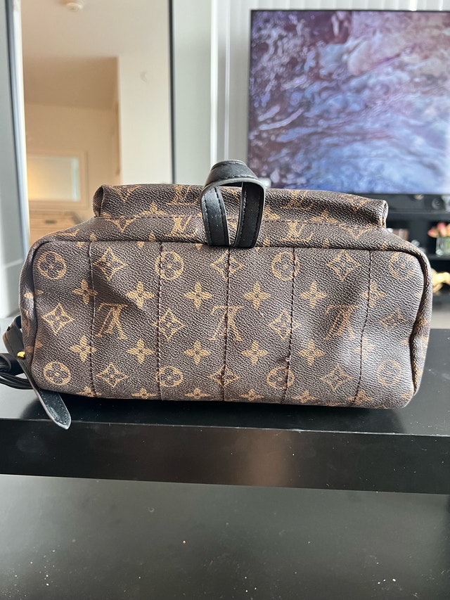 Louis Vuitton Monogram Backpack - photo 5