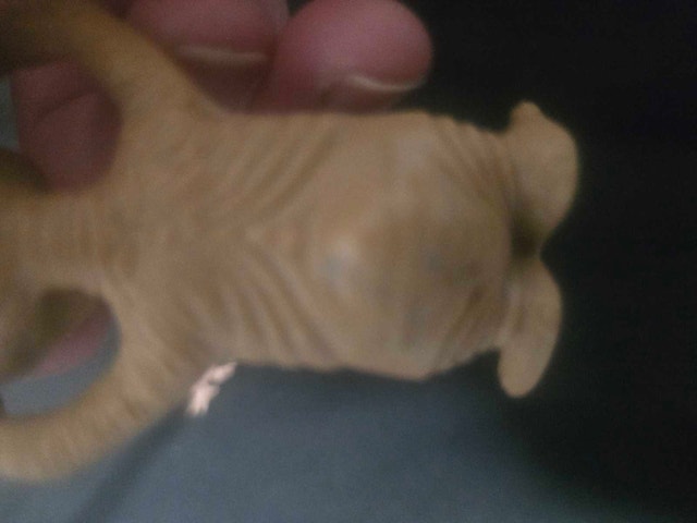 E.T Merch Collectors Bundle - photo 3