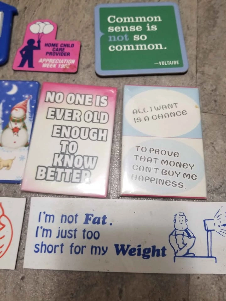 Vintage Fridge Magnets All for $5 - photo 4