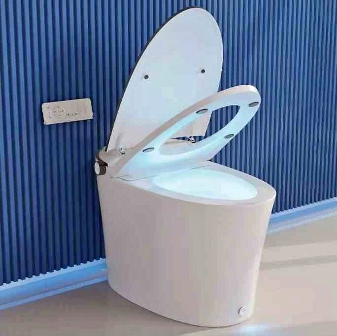 DeerValley Tankless Elongated Electric Smart Toilet