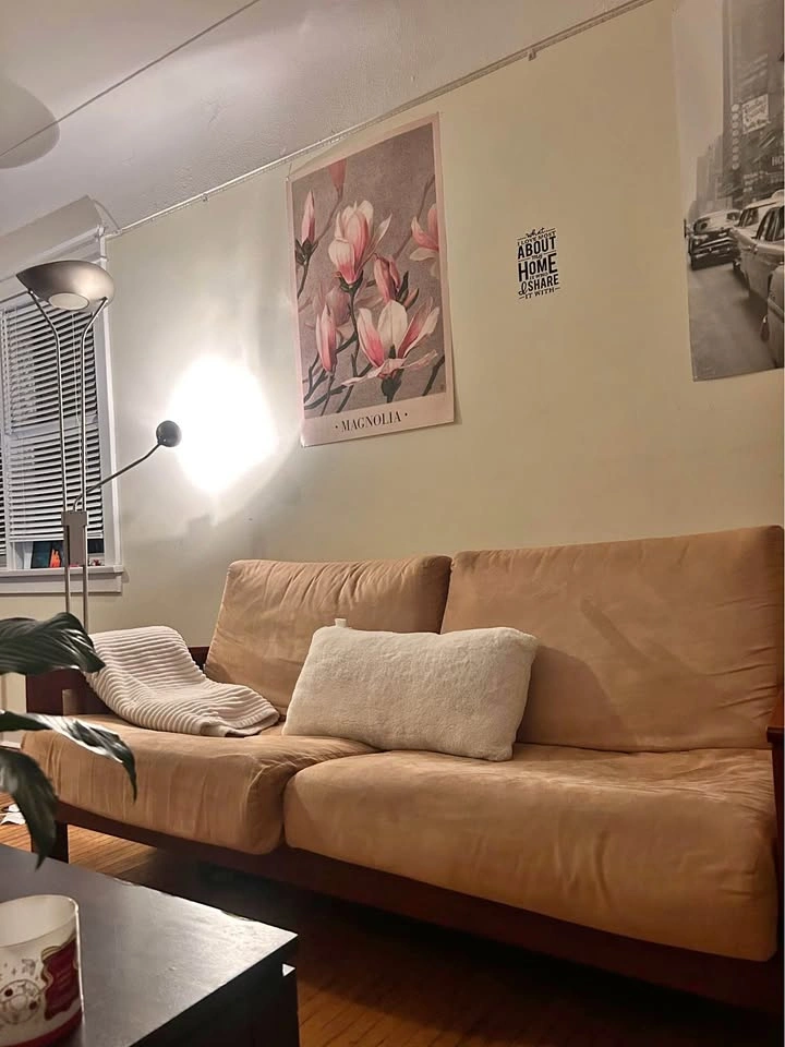 Brown Couch