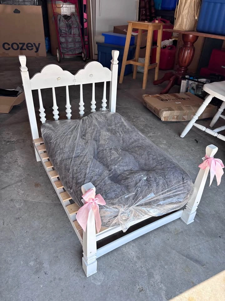 Custom Pet Bed with Cushion