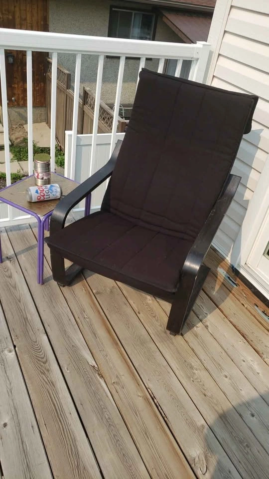 Beautiful Comfy Inside/Outside Black Cushioned Chair - photo 2