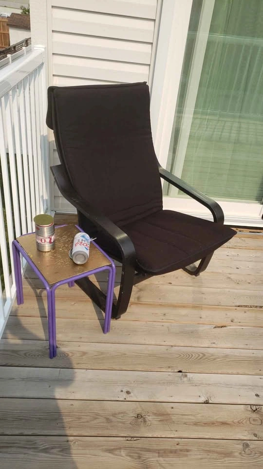 Beautiful Comfy Inside/Outside Black Cushioned Chair - photo 4