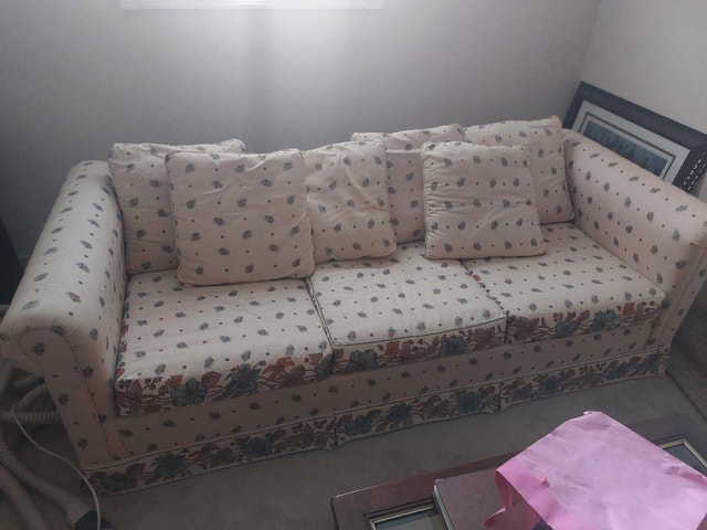 Sealy Sofa Bed