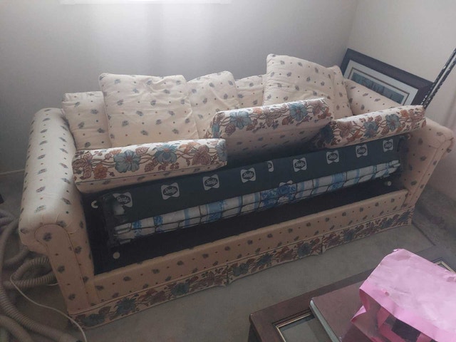 Sealy Sofa Bed - photo 3