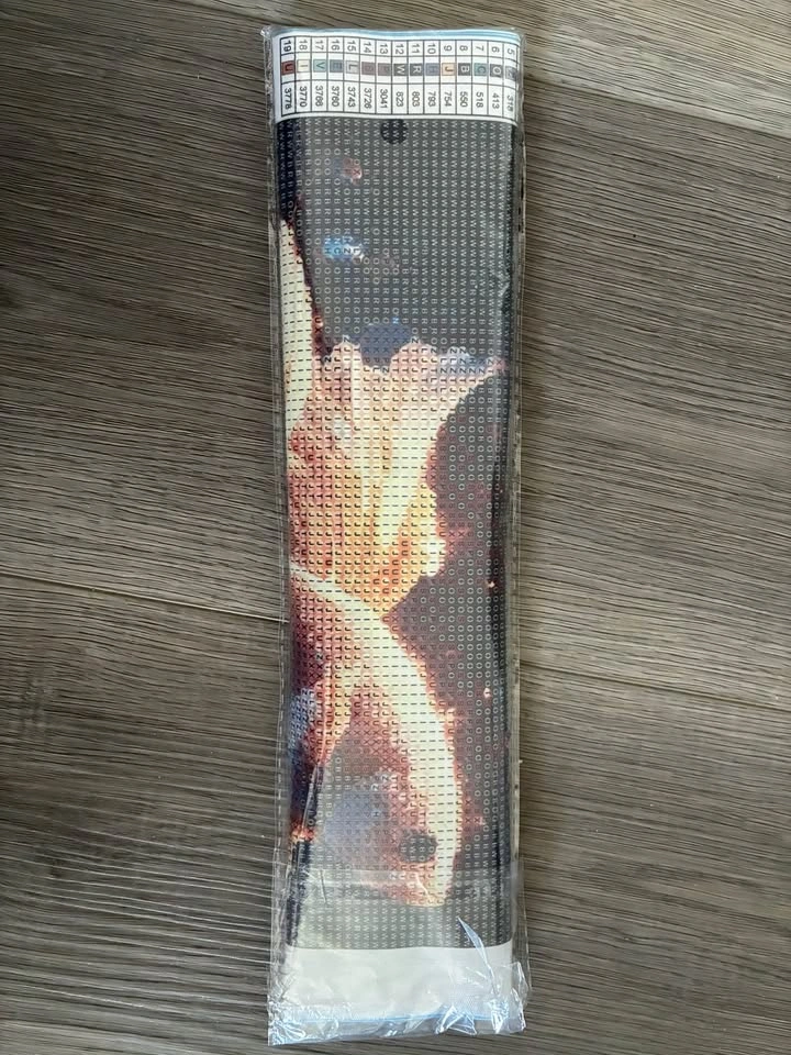 Goldfish Diamond Painting Kit - photo 4