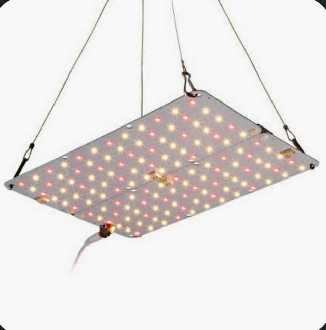 ACKE LED grow light