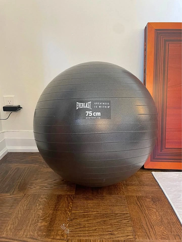 Everlast 75 cm Exercise Ball
