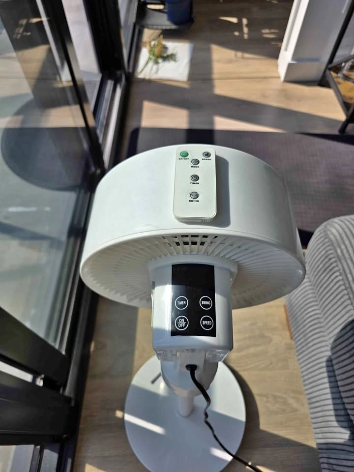 Fan with remote