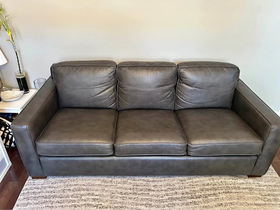 Sleeper Sofa