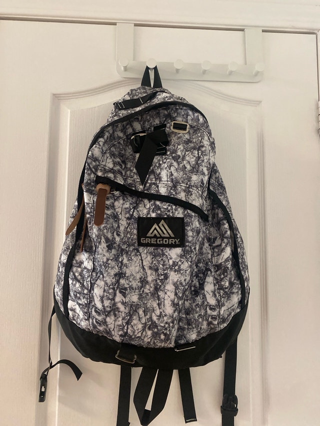 Gregory Daypack