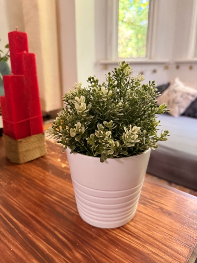 artificial plant decor