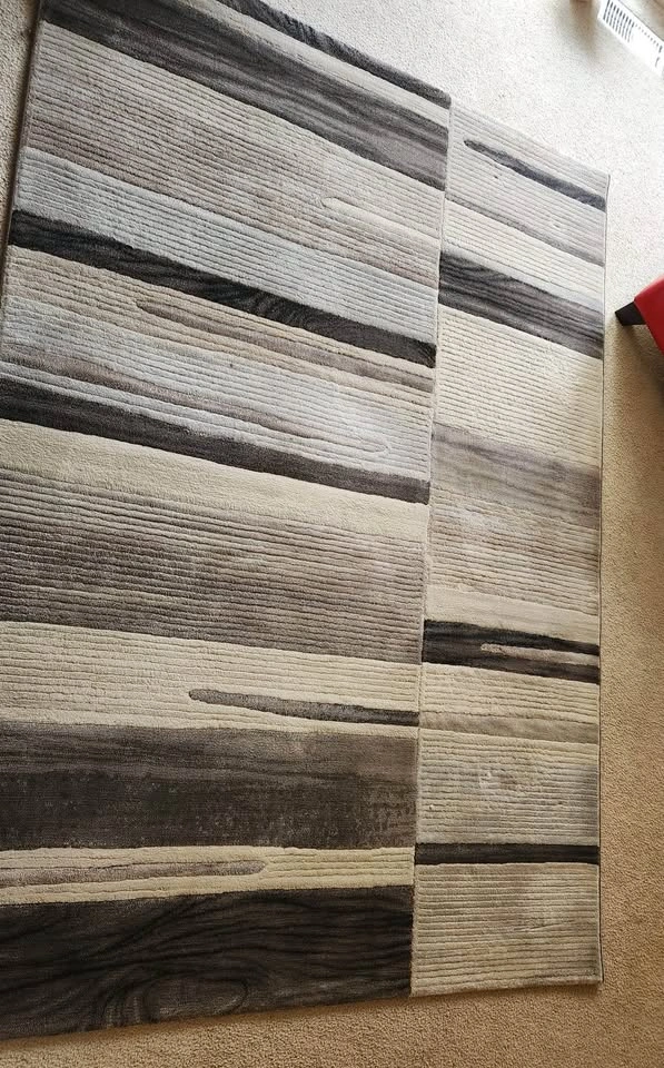 Area Rug - photo 3